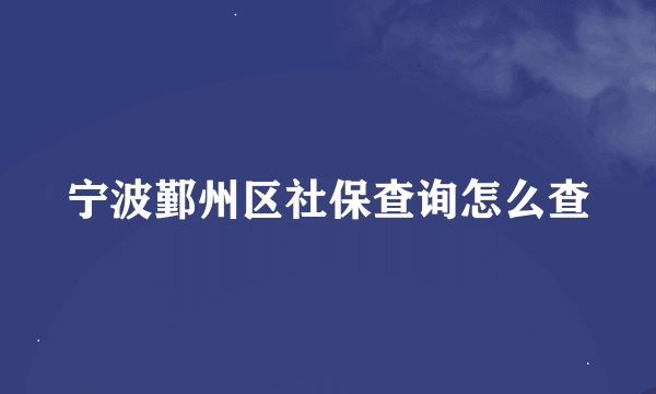 宁波鄞州区社保查询怎么查