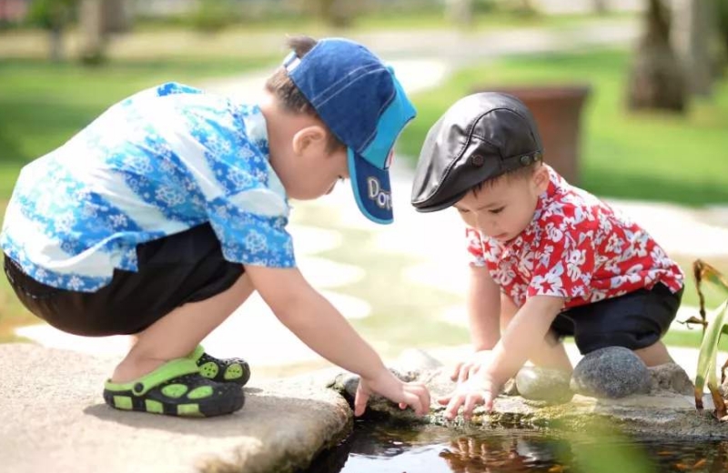 小学生拔标本鹿角给爷爷补身体，网友为何吵翻了天？