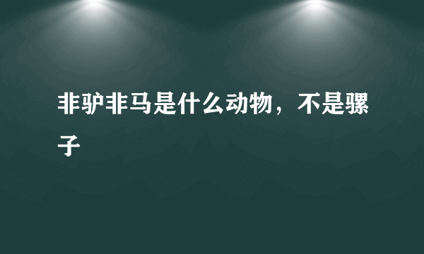 非驴非马是什么动物，不是骡子