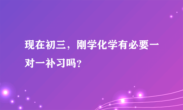 现在初三，刚学化学有必要一对一补习吗？