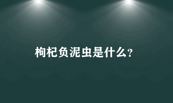 枸杞负泥虫是什么？