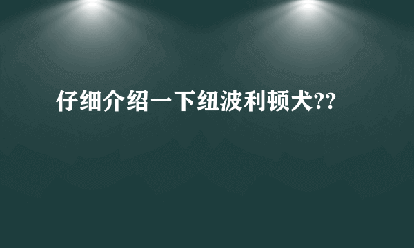 仔细介绍一下纽波利顿犬??