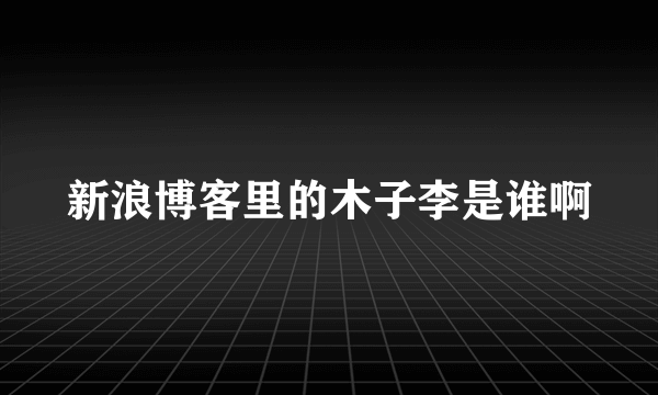 新浪博客里的木子李是谁啊