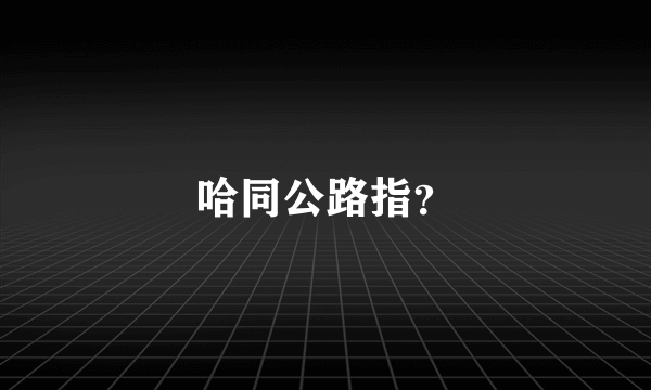 哈同公路指？