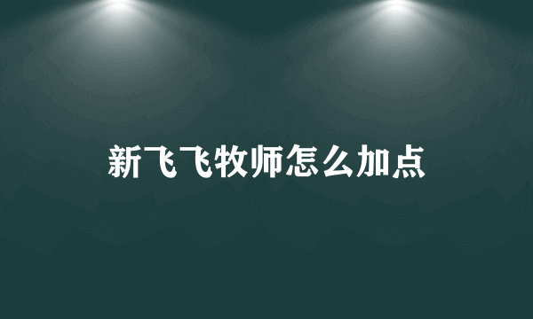 新飞飞牧师怎么加点