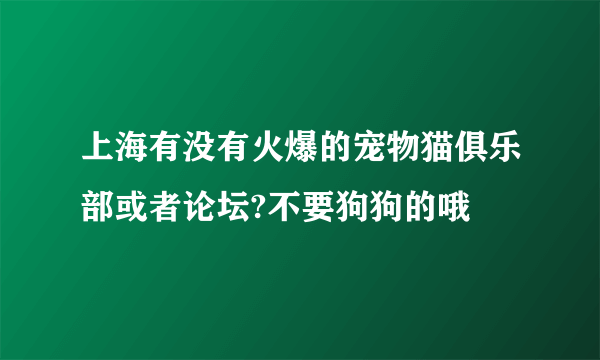 上海有没有火爆的宠物猫俱乐部或者论坛?不要狗狗的哦