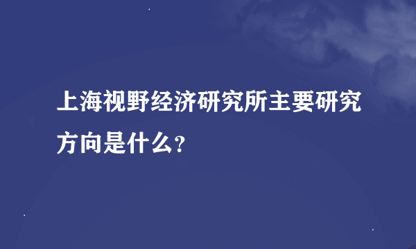 上海视野经济研究所主要研究方向是什么？