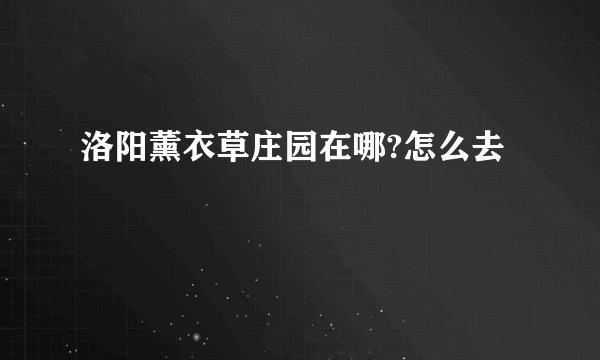 洛阳薰衣草庄园在哪?怎么去