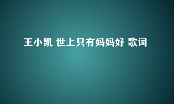 王小凯 世上只有妈妈好 歌词