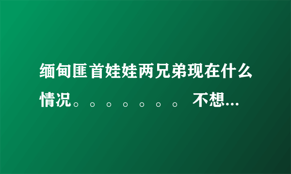 缅甸匪首娃娃两兄弟现在什么情况。。。。。。。 不想要复制的、、、