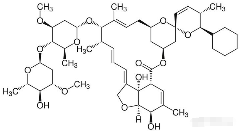 塞拉菌素,莫西菌素,伊维菌素,多拉菌素,都有什么区别呢?