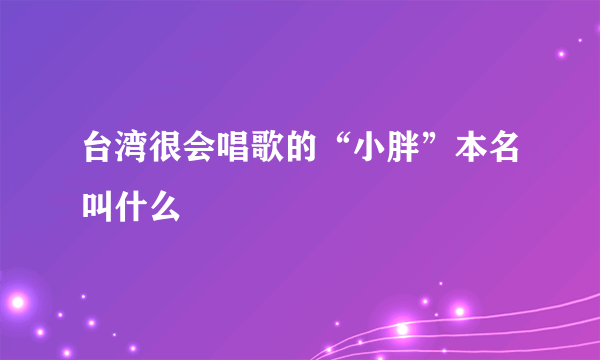 台湾很会唱歌的“小胖”本名叫什么