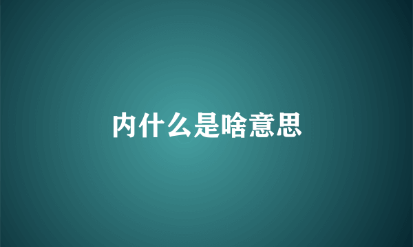 内什么是啥意思