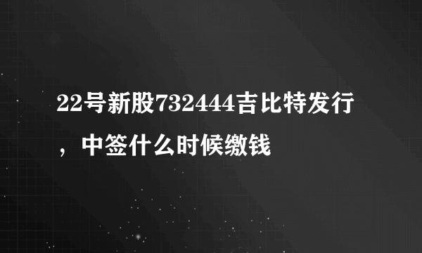 22号新股732444吉比特发行，中签什么时候缴钱