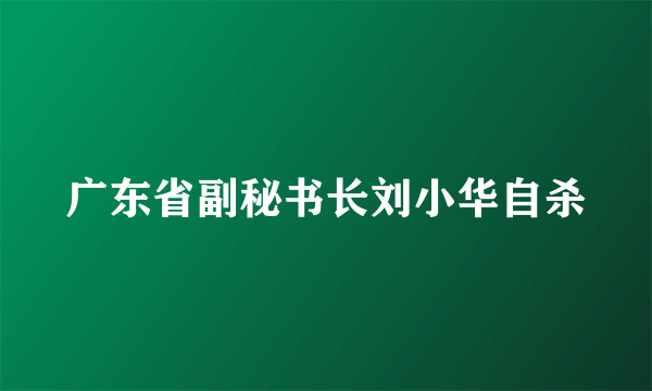 广东省副秘书长刘小华自杀