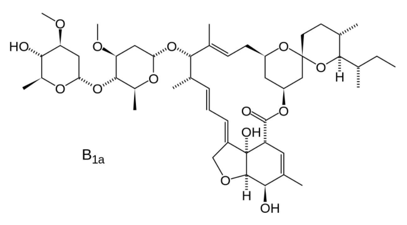 塞拉菌素,莫西菌素,伊维菌素,多拉菌素,都有什么区别呢?