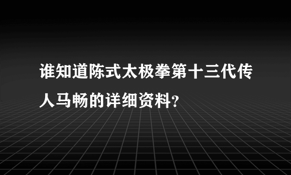 谁知道陈式太极拳第十三代传人马畅的详细资料？