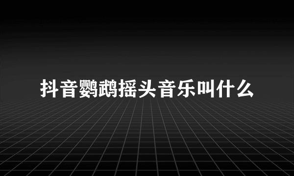 抖音鹦鹉摇头音乐叫什么