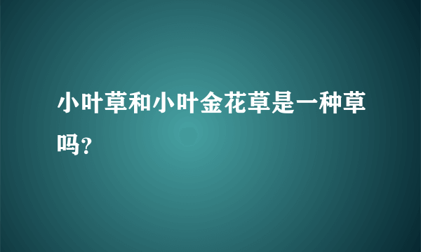 小叶草和小叶金花草是一种草吗？