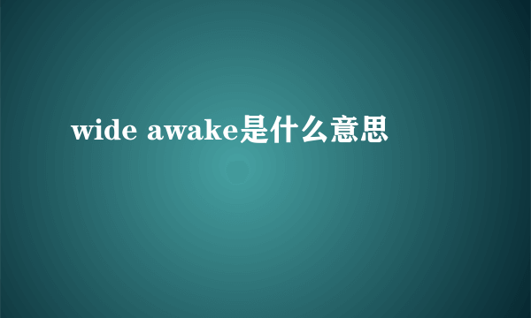 wide awake是什么意思