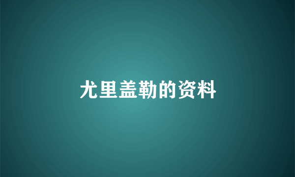 尤里盖勒的资料