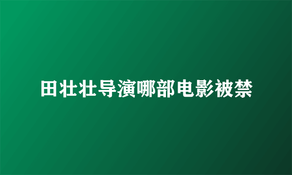 田壮壮导演哪部电影被禁