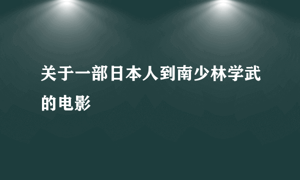 关于一部日本人到南少林学武的电影