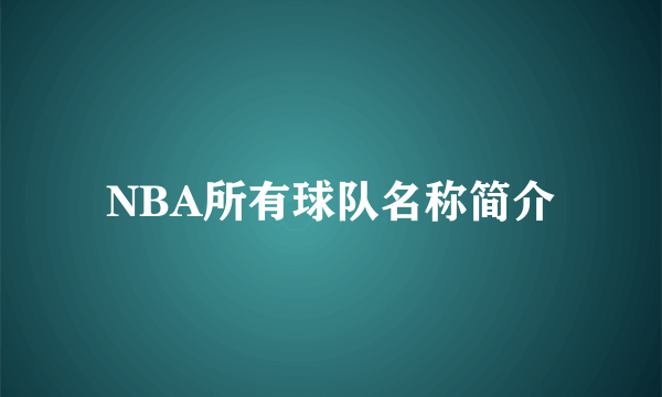 NBA所有球队名称简介