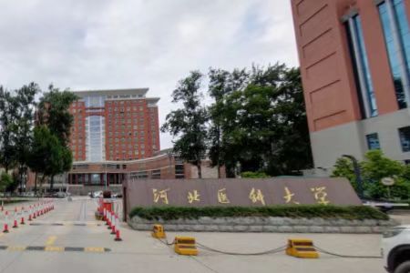 河北医科大学分数线