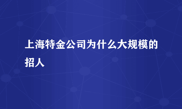 上海特金公司为什么大规模的招人