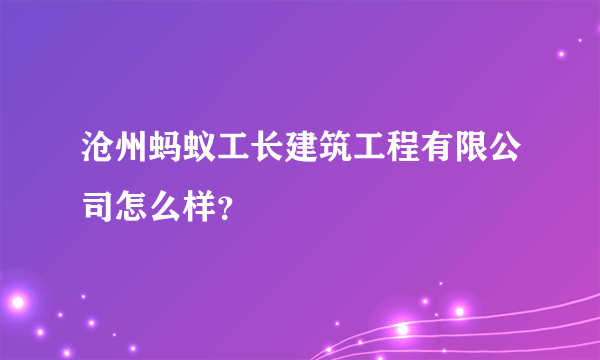 沧州蚂蚁工长建筑工程有限公司怎么样？