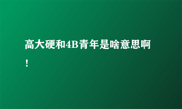 高大硬和4B青年是啥意思啊！