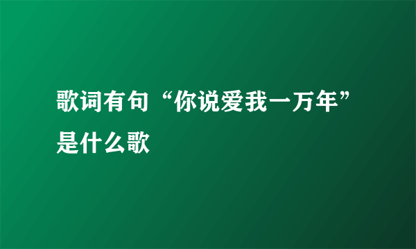 歌词有句“你说爱我一万年”是什么歌