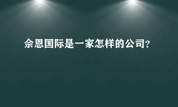 佘恩国际是一家怎样的公司？