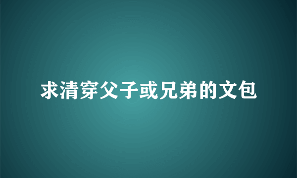 求清穿父子或兄弟的文包