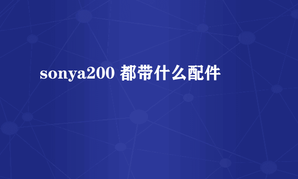 sonya200 都带什么配件