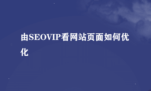 由SEOVIP看网站页面如何优化