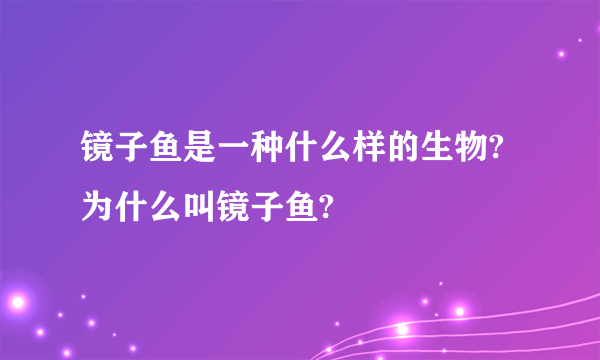 镜子鱼是一种什么样的生物?为什么叫镜子鱼?