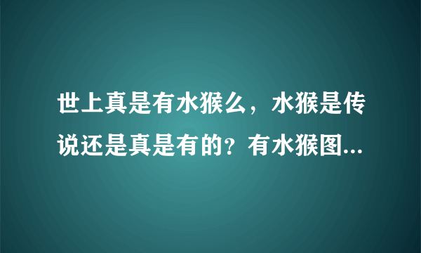 世上真是有水猴么，水猴是传说还是真是有的？有水猴图片参照吗？