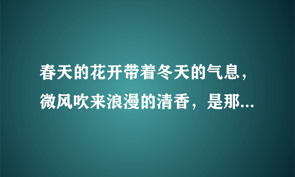 春天的花开带着冬天的气息，微风吹来浪漫的清香，是那首歌的歌词