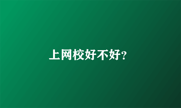 上网校好不好？