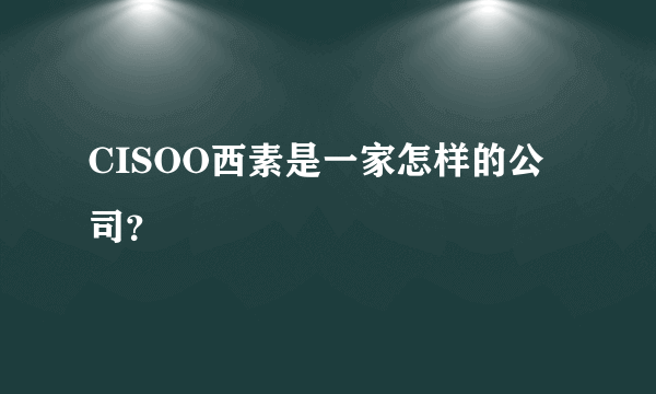 CISOO西素是一家怎样的公司？