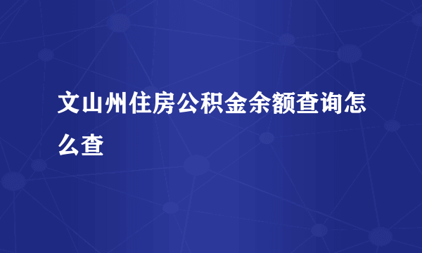 文山州住房公积金余额查询怎么查