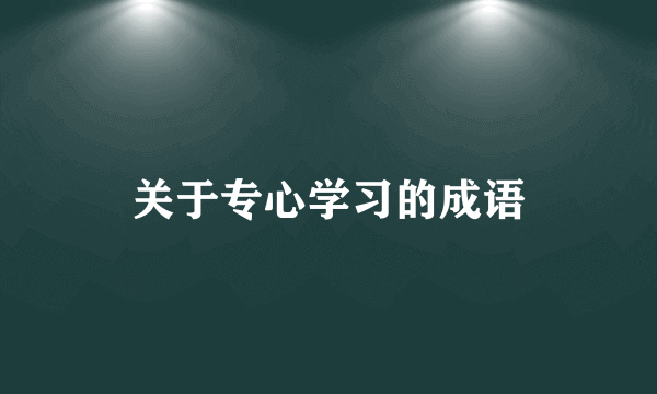 关于专心学习的成语