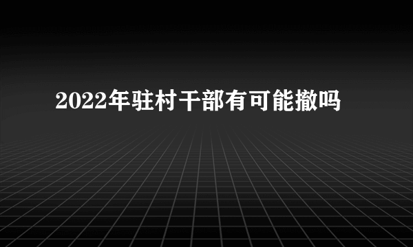 2022年驻村干部有可能撤吗