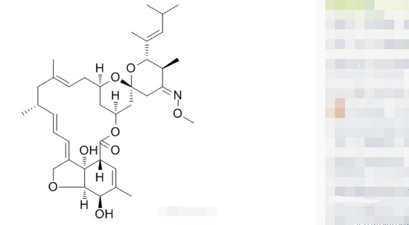 塞拉菌素,莫西菌素,伊维菌素,多拉菌素,都有什么区别呢?