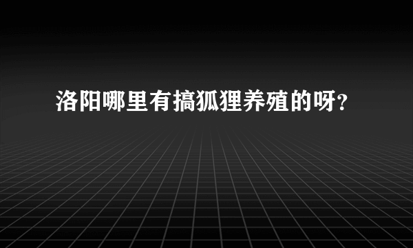 洛阳哪里有搞狐狸养殖的呀？