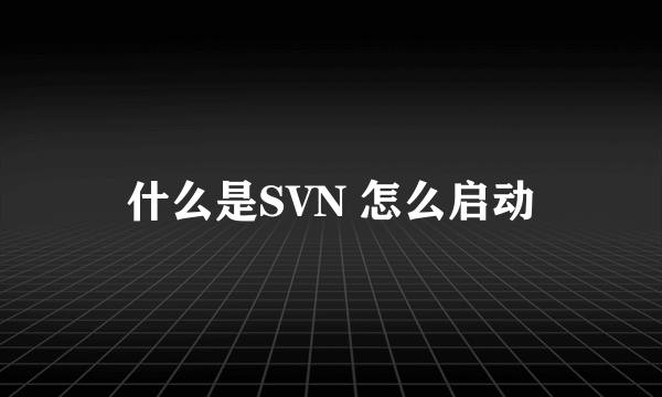 什么是SVN 怎么启动