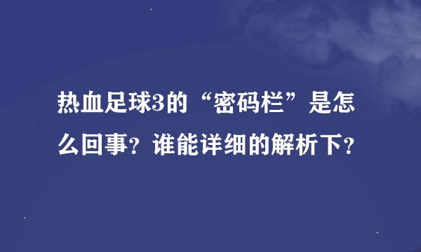 热血足球3的“密码栏”是怎么回事？谁能详细的解析下？