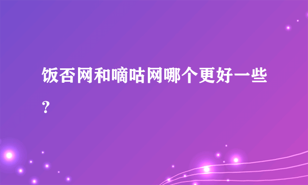 饭否网和嘀咕网哪个更好一些？